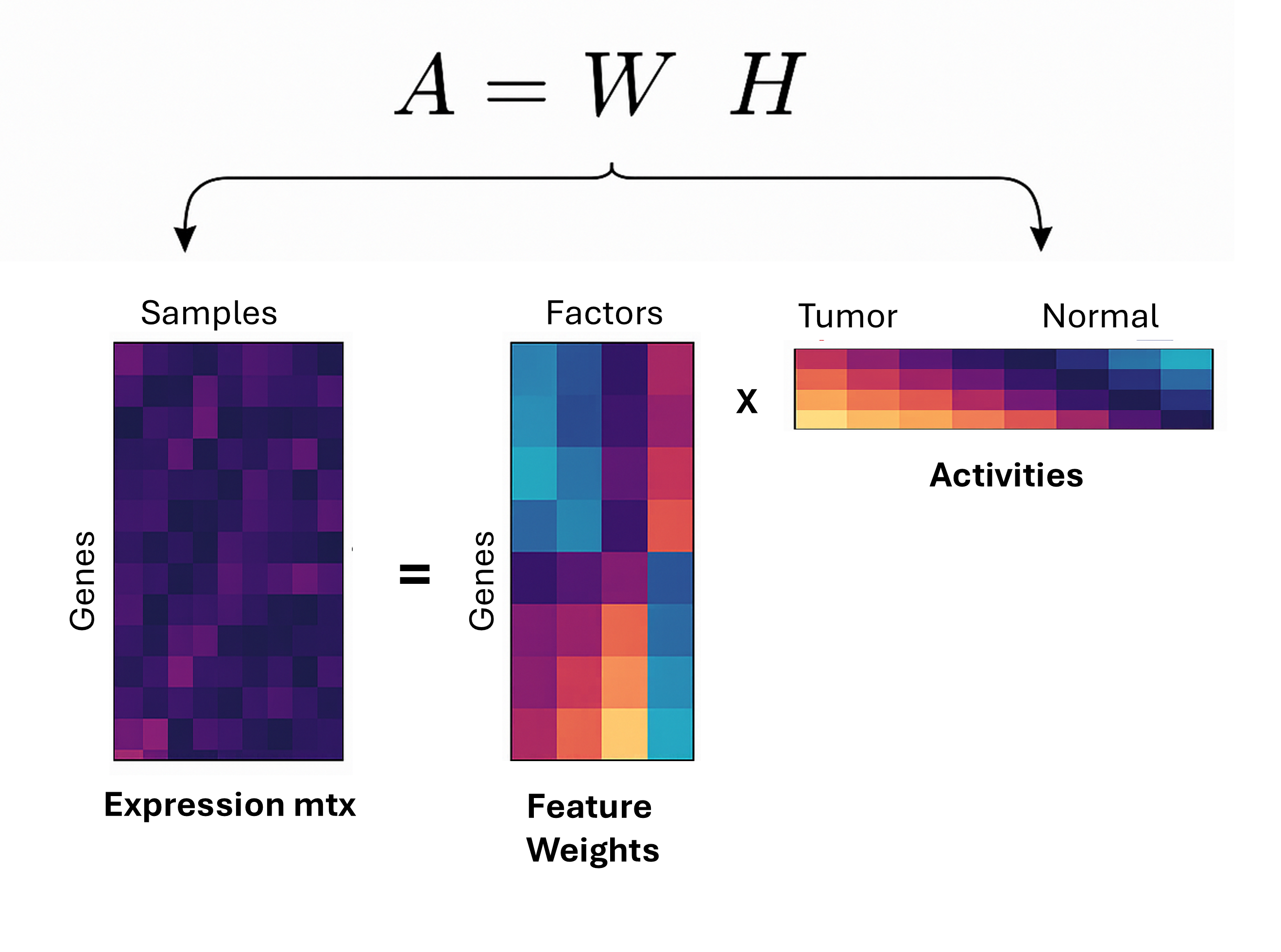 Matrix factorization diagram